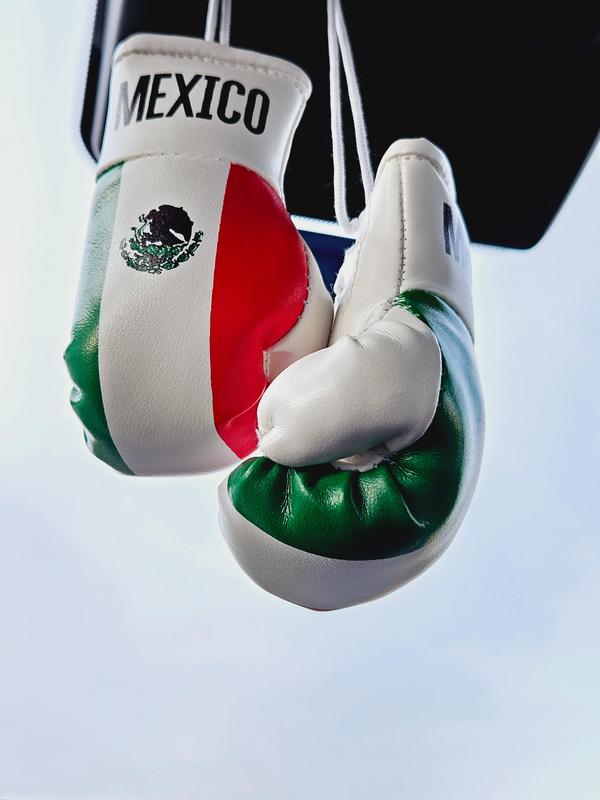 Mexico Flag Mini Boxing Gloves For Hanging